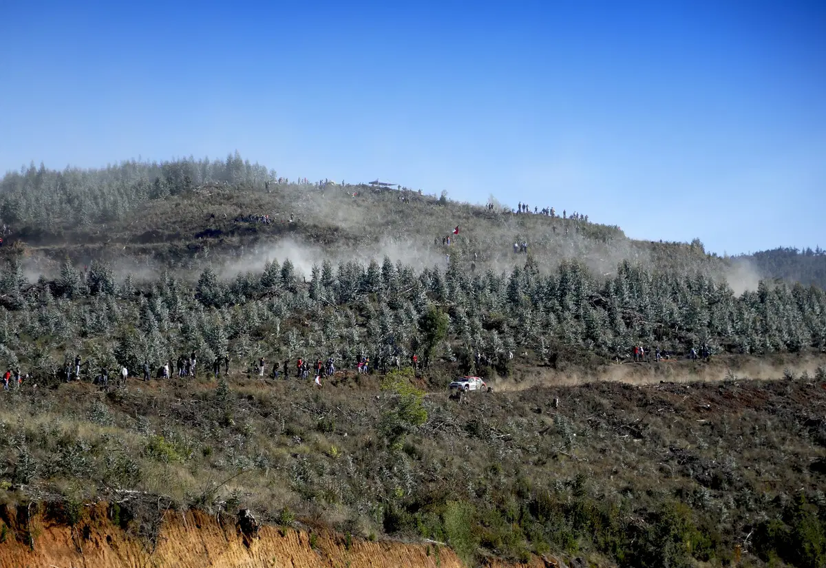 WRC, Rally Cile 2019: le foto più belle (16)