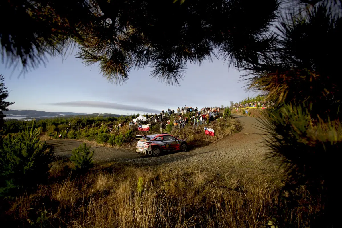 WRC, Rally Cile 2019: le foto più belle (33)