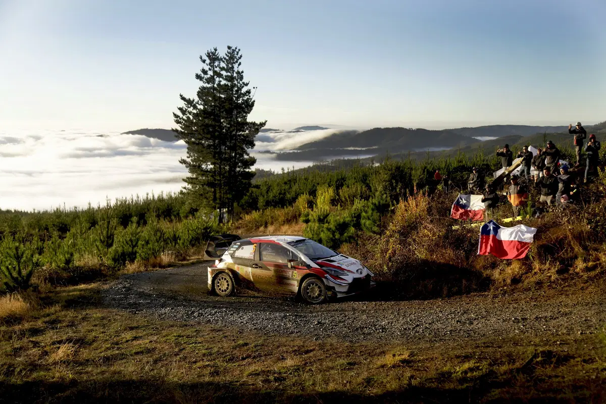 WRC, Rally Cile 2019: le foto più belle (36)
