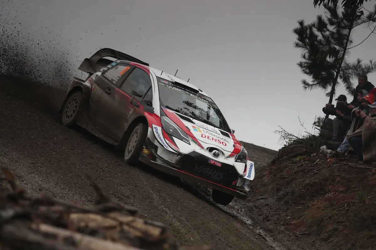 WRC, Rally Cile 2019: le foto più belle (49)