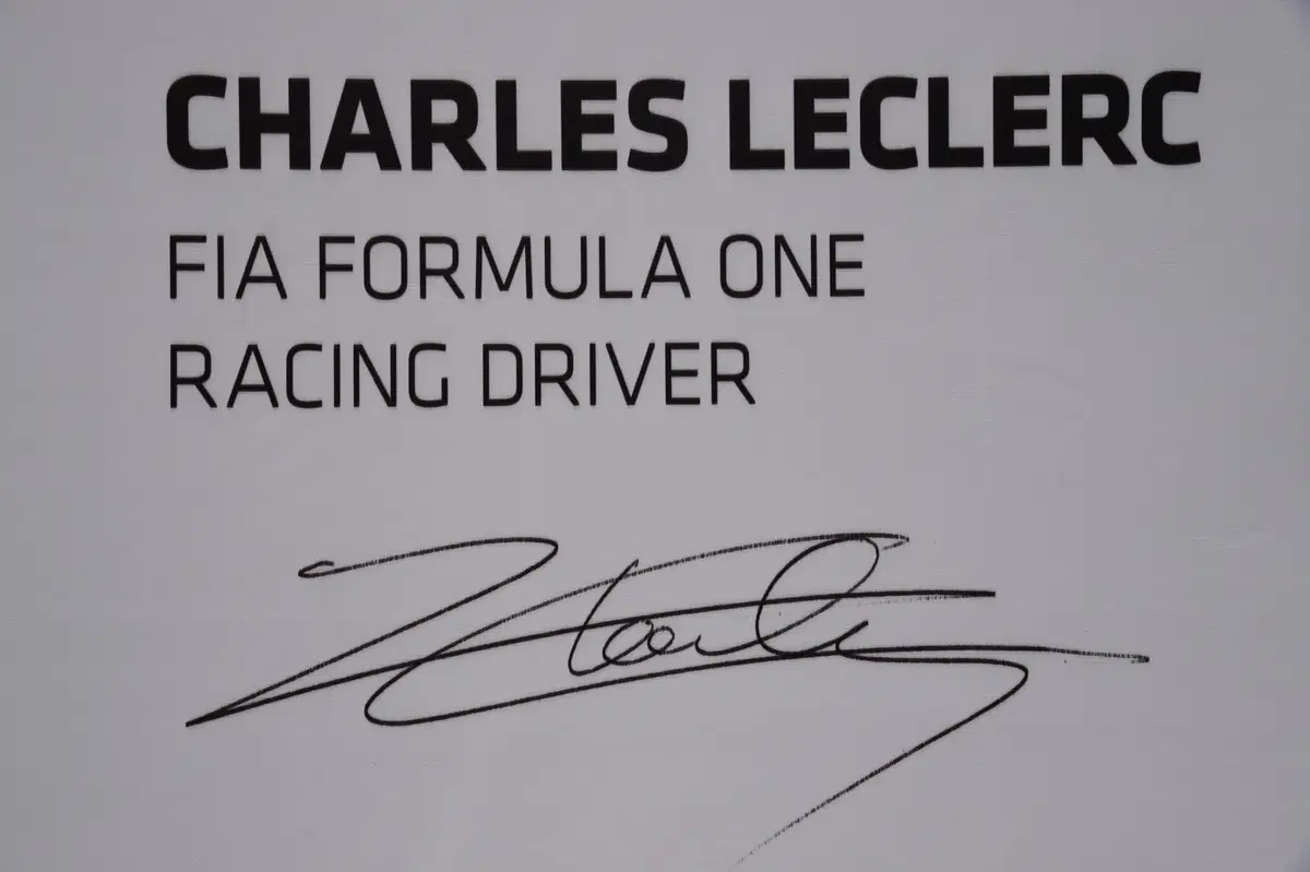 F1, GP Monaco 2019: le pagelle di Montecarlo (43)