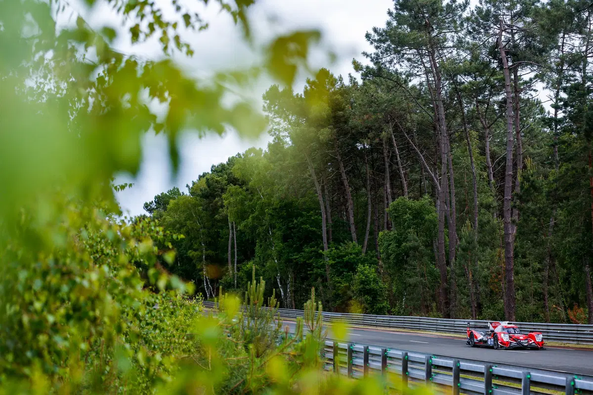24 Ore di Le Mans 2019: Toyota, pole provvisoria e incidente [Video] (9)