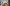 Renault Clio: Cup, Rally ed RX 2020 in un&rsquo;auto sola