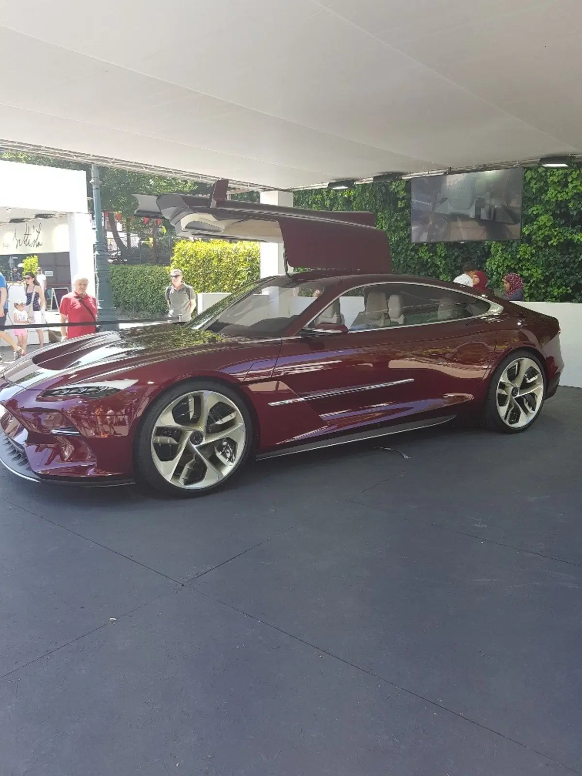 Parco Valentino 2019: pillole di Motor Show open a Torino (18)