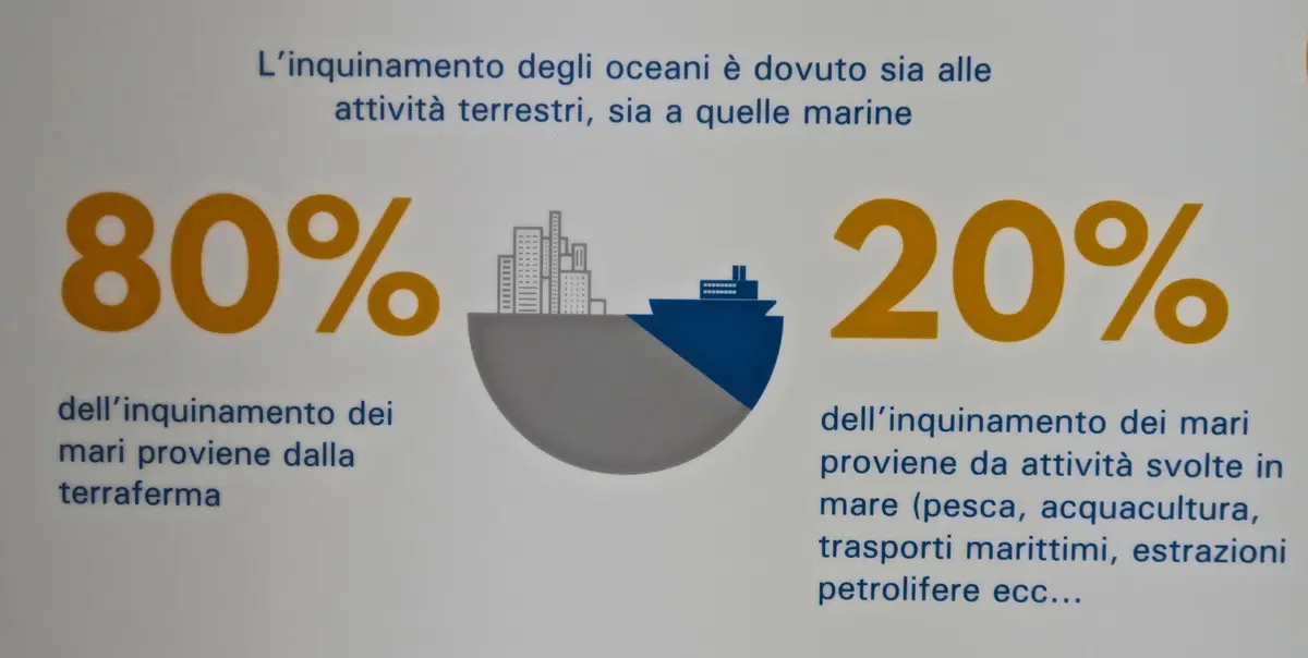 Automoto al Salone Nautico di Venezia 2019 (3)