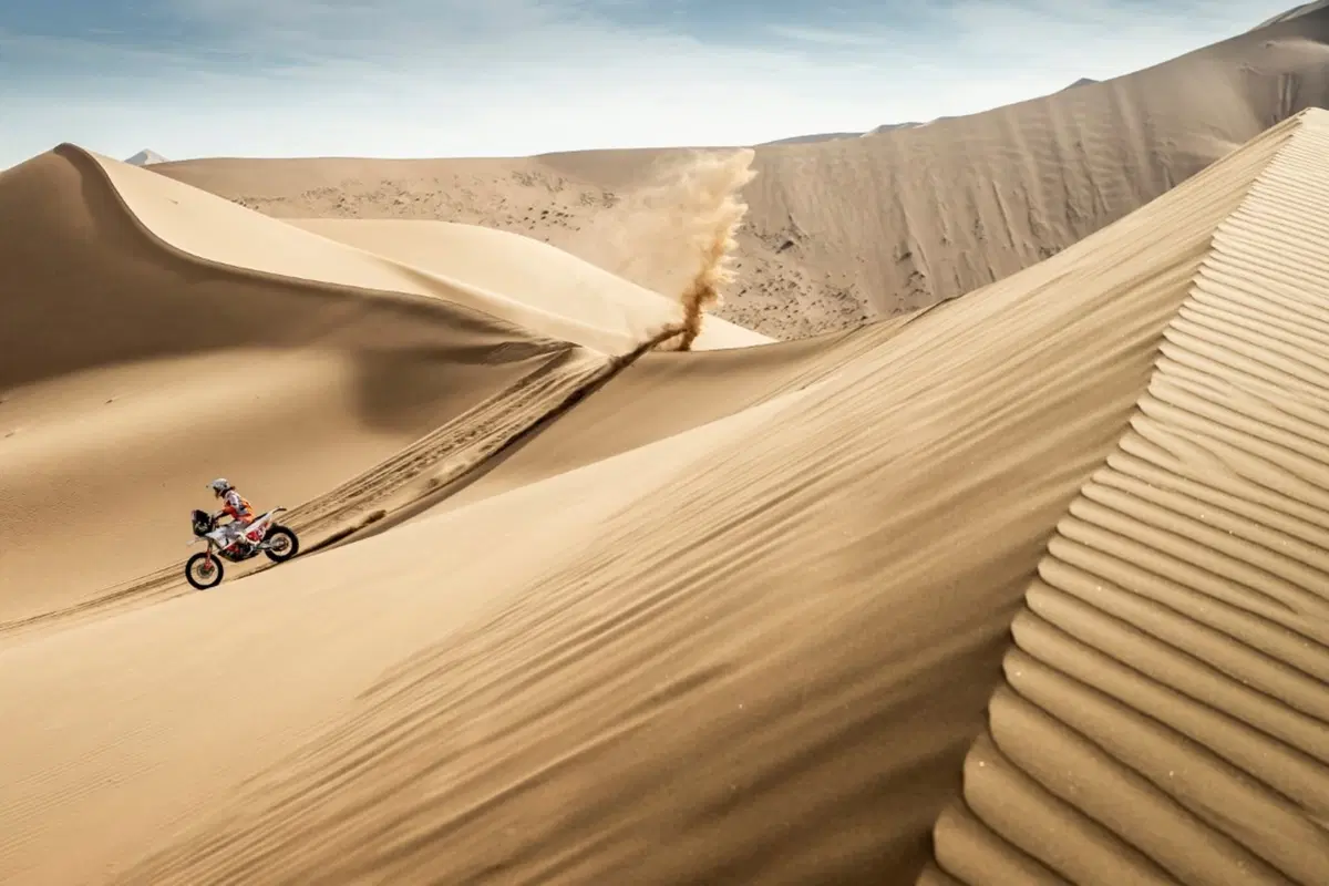 Silk Way Rally 2019. Al-Attyah (Toyota), Sunderland (KTM), Shibalov (Kamaz): le Tigri Bianche (18)