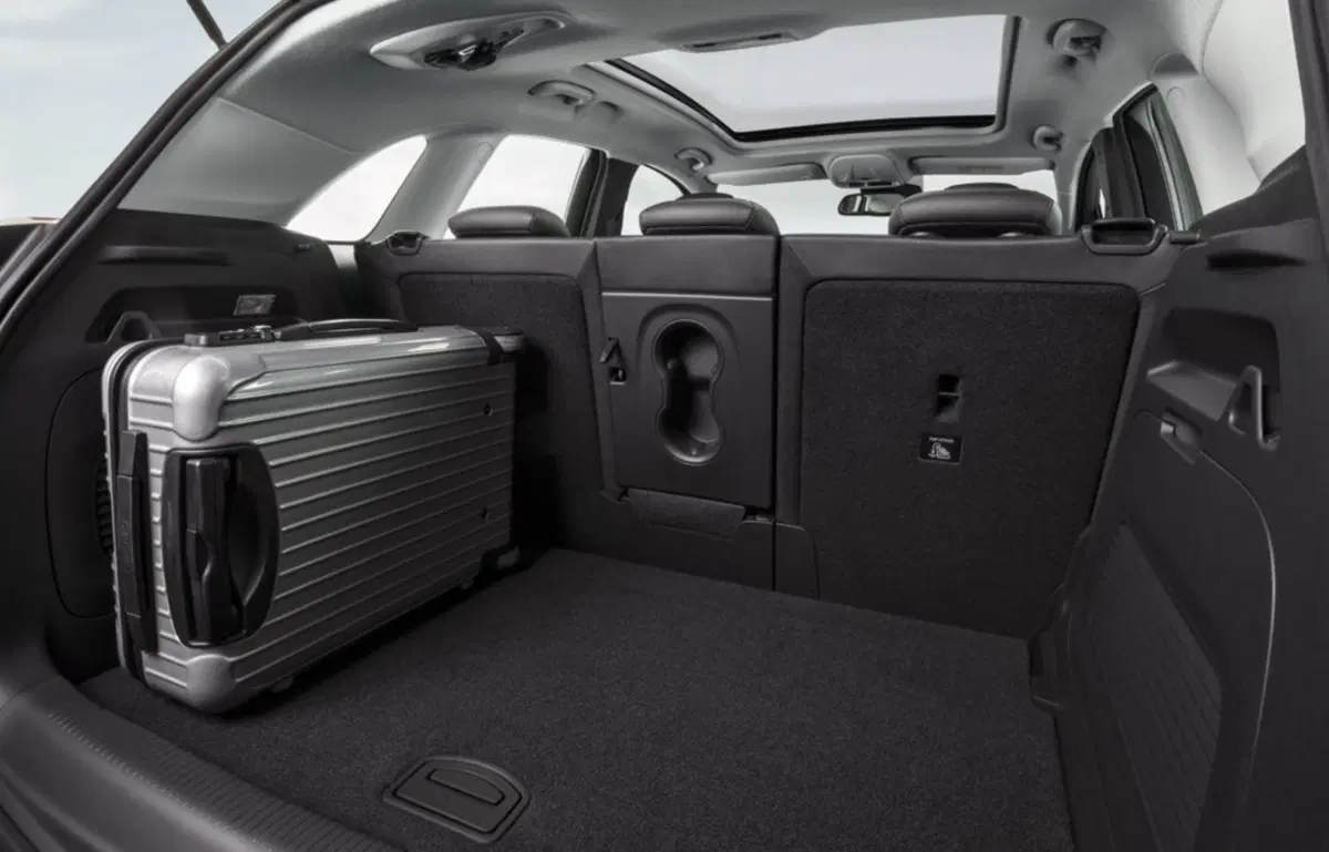Fiat 500L Wagon 1.6 Multijet 120 CV Business (14)
