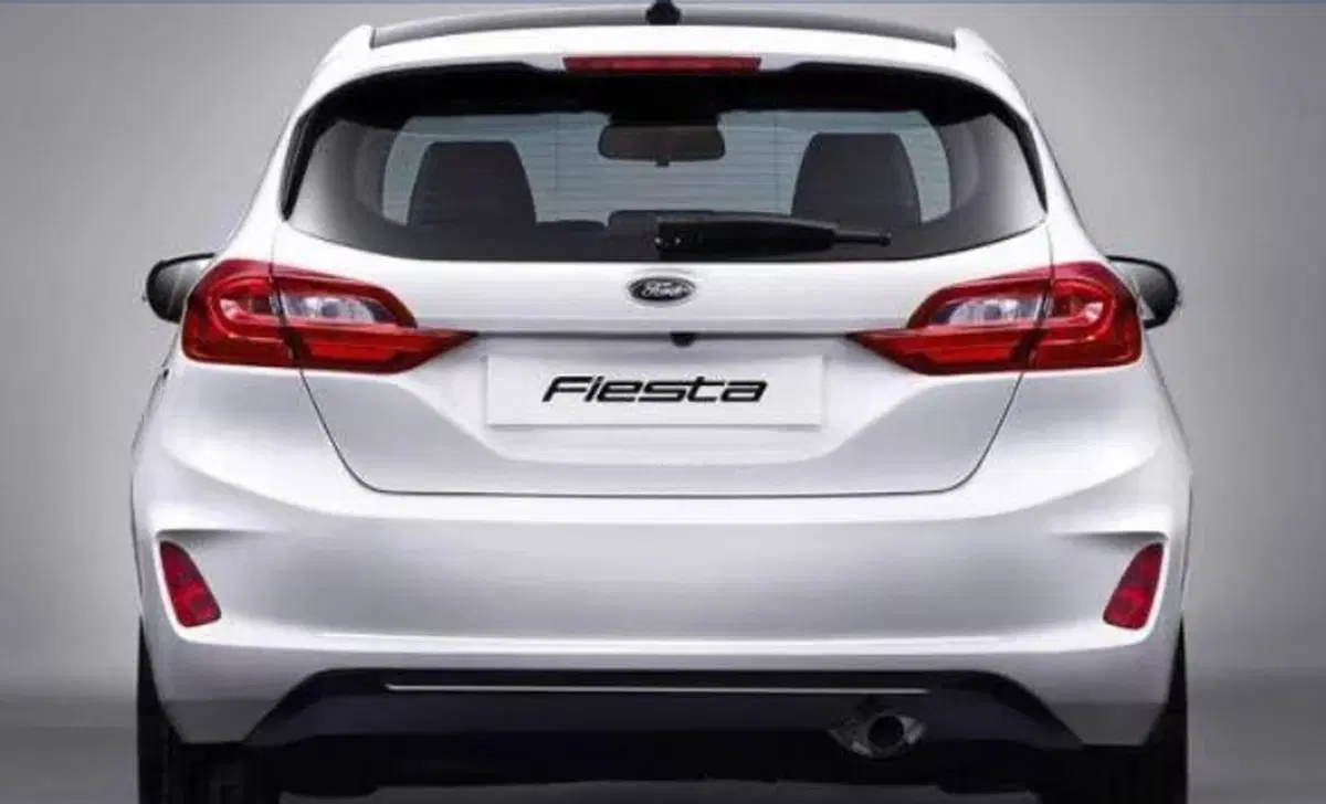 Ford Fiesta 1.5 EcoBlue 5 porte ST-Line (5)