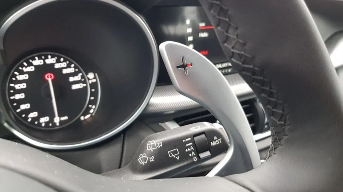 Alfa Romeo Stelvio Stelvio 2.2 Turbodiesel 190 CV AT8 Q4 Business (36)
