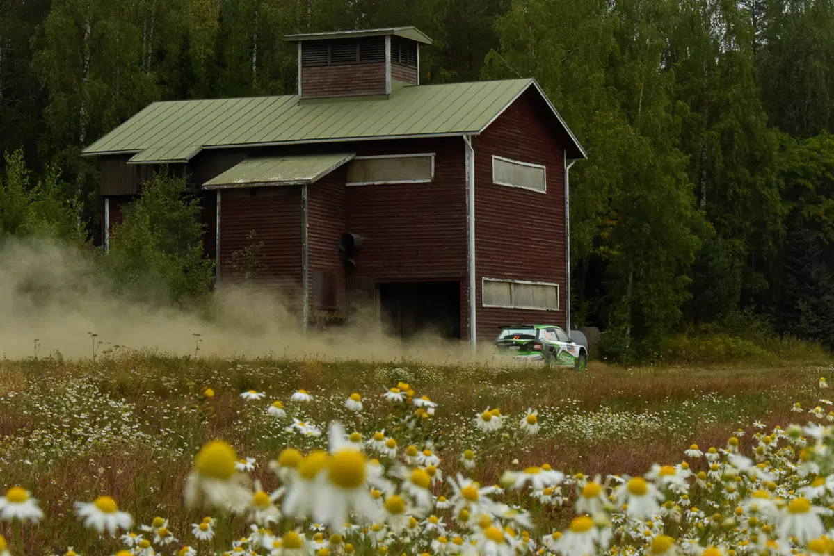 WRC 2019 Finlandia. Tutto in 2 secondi. Latvala-Meeke, Toyota, Tanak dietro a Lappi (17)