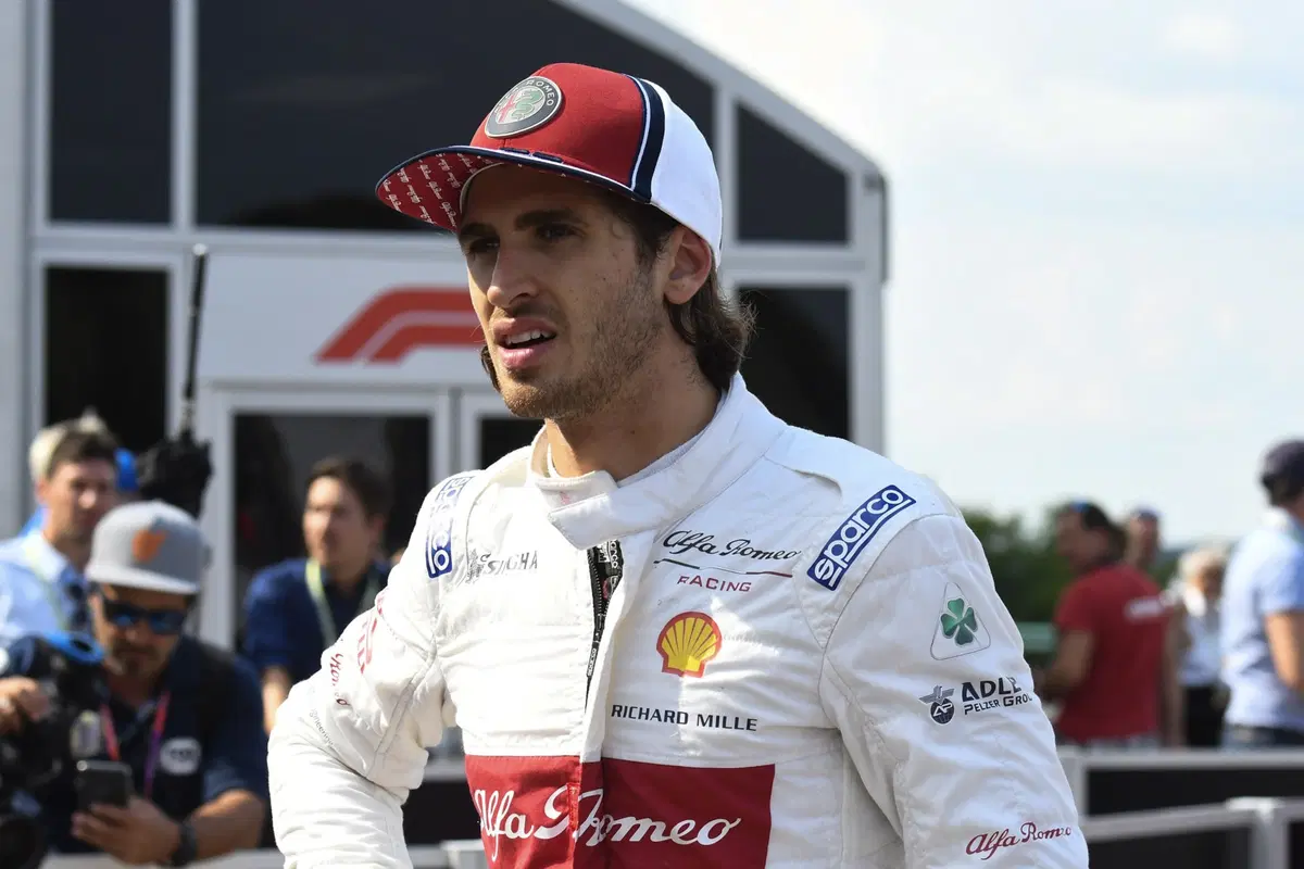 F1, GP Ungheria 2019: Hamilton, che cannibale (4)