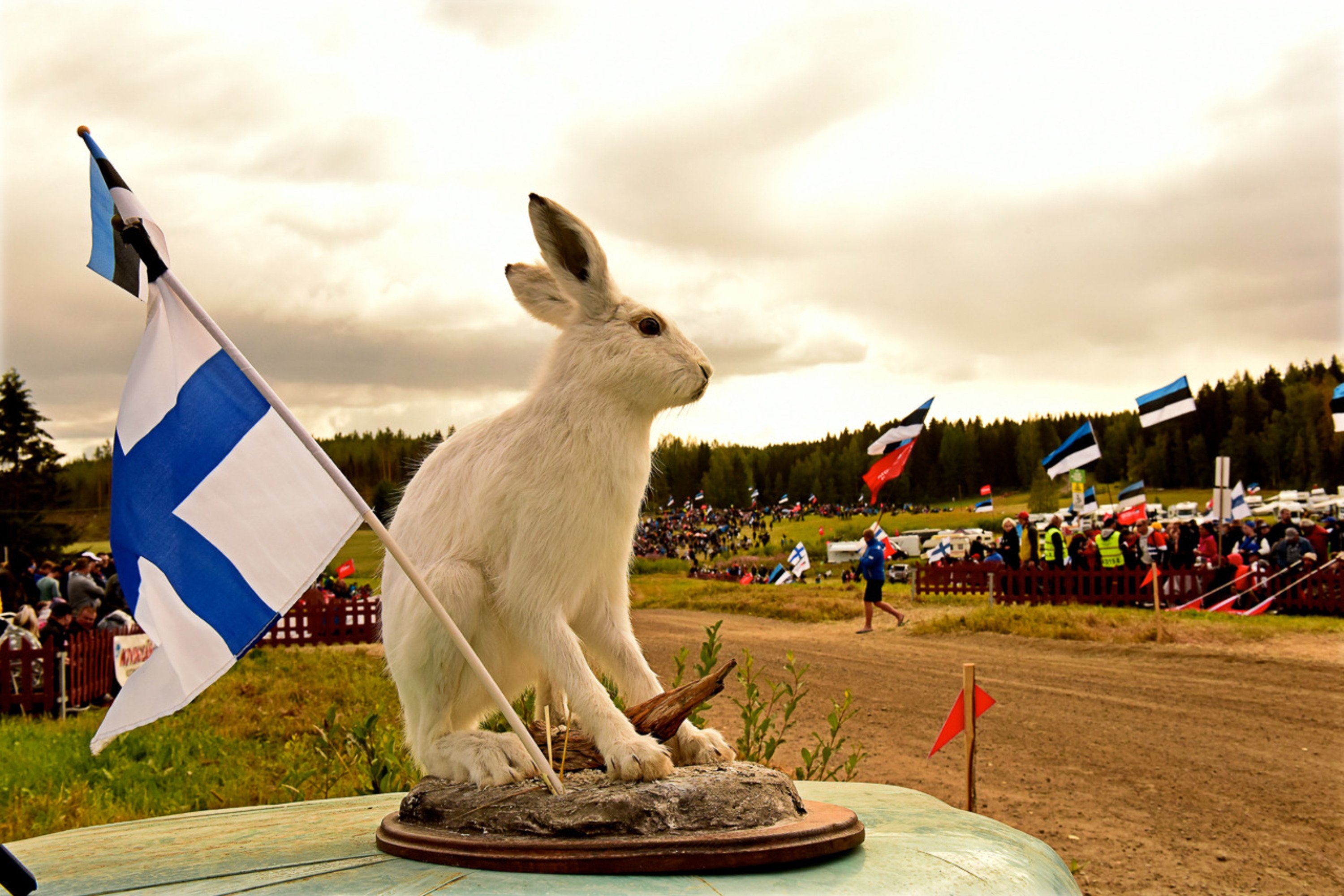 WRC 2019 Finlandia. &Egrave; Tanak IV, Toyota Yaris WRC