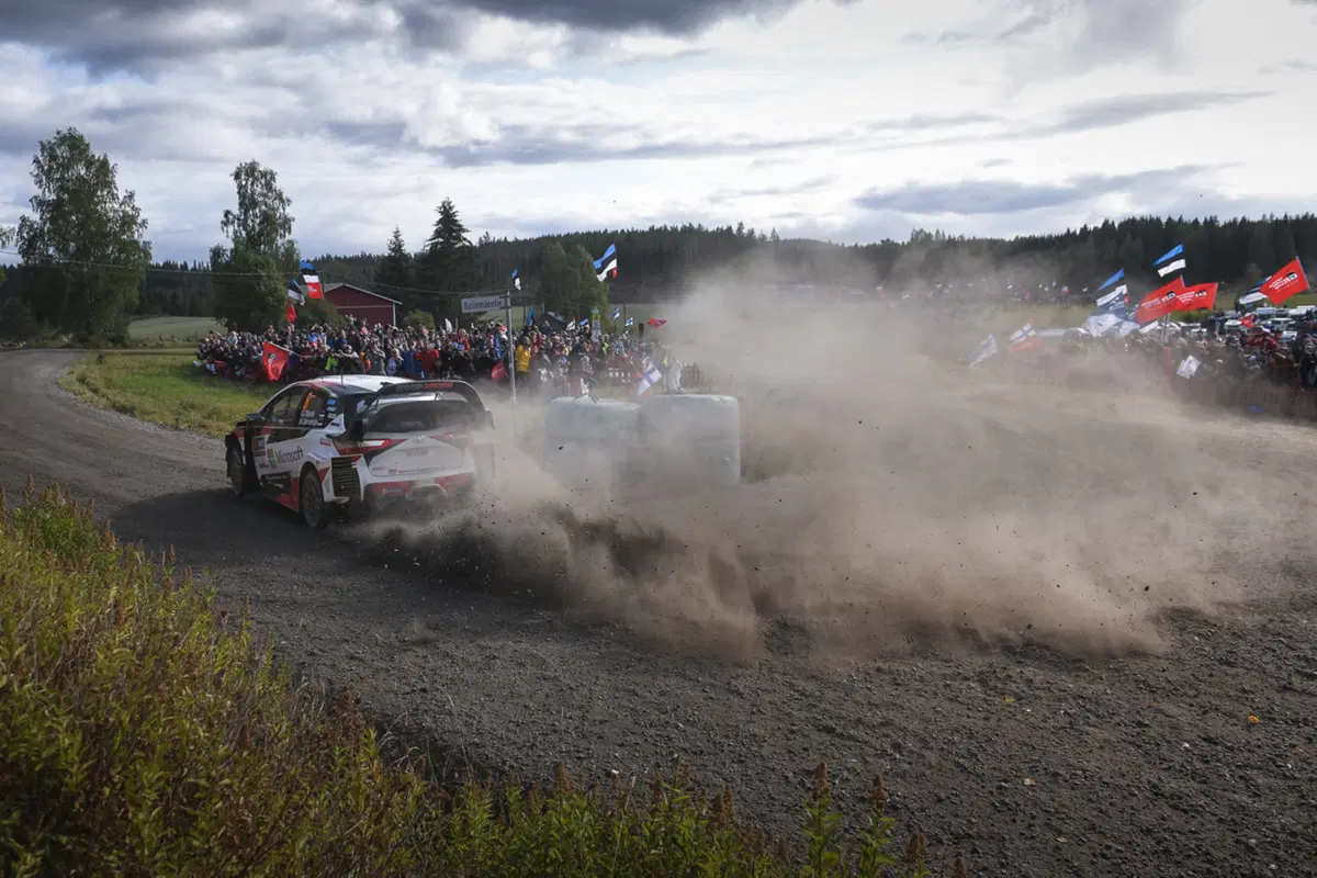 WRC 2019 Finlandia. È Tanak IV, Toyota Yaris WRC (56)