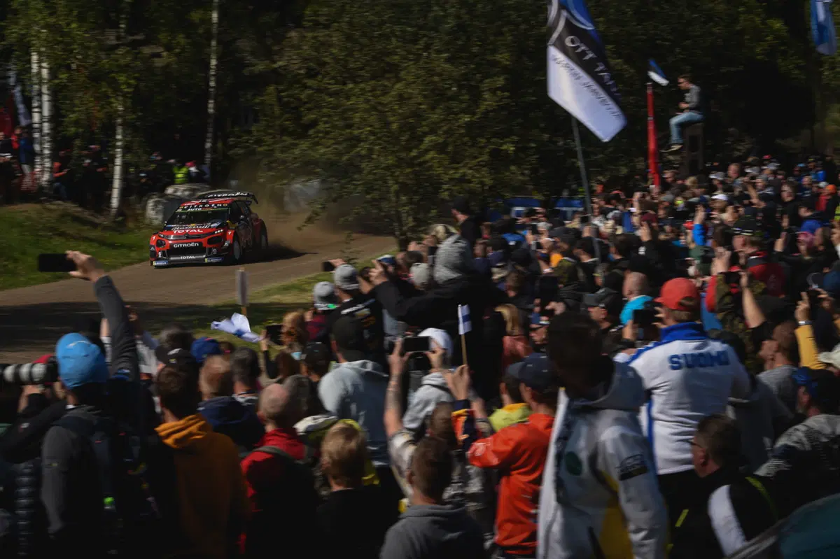 WRC 2019 Finlandia. È Tanak IV, Toyota Yaris WRC (59)