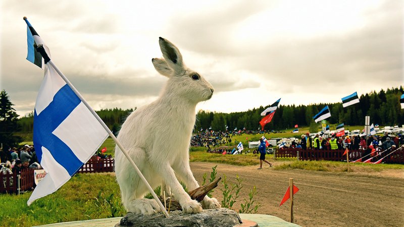 Rally di Finlandia 2019: le foto pi&ugrave; belle