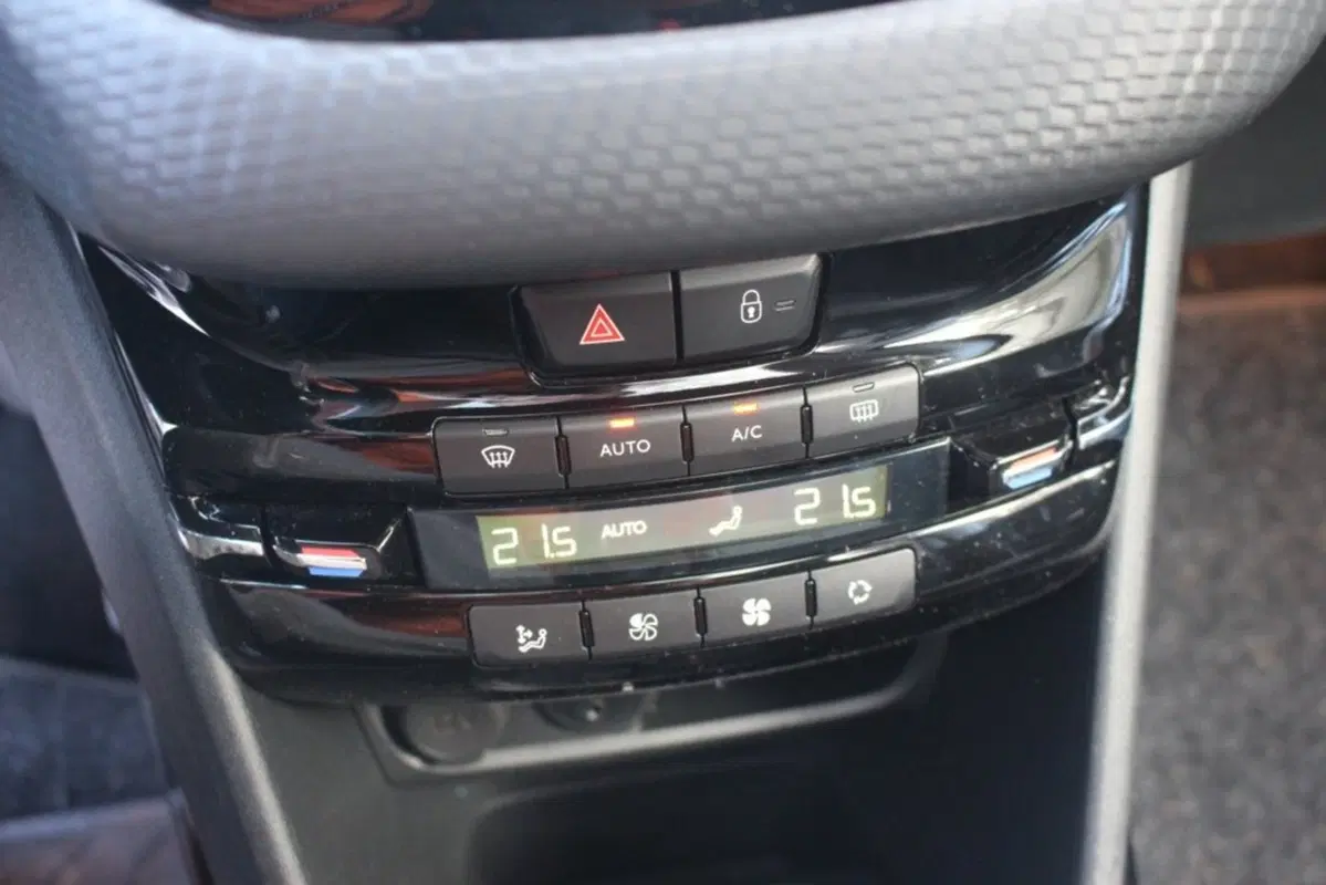 Peugeot 2008 Turbo 110 S&S Active (20)