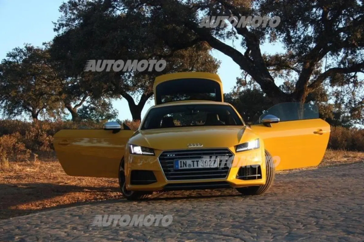 Audi TT Coupé 2.0 TDI quattro S tronic Design (37)