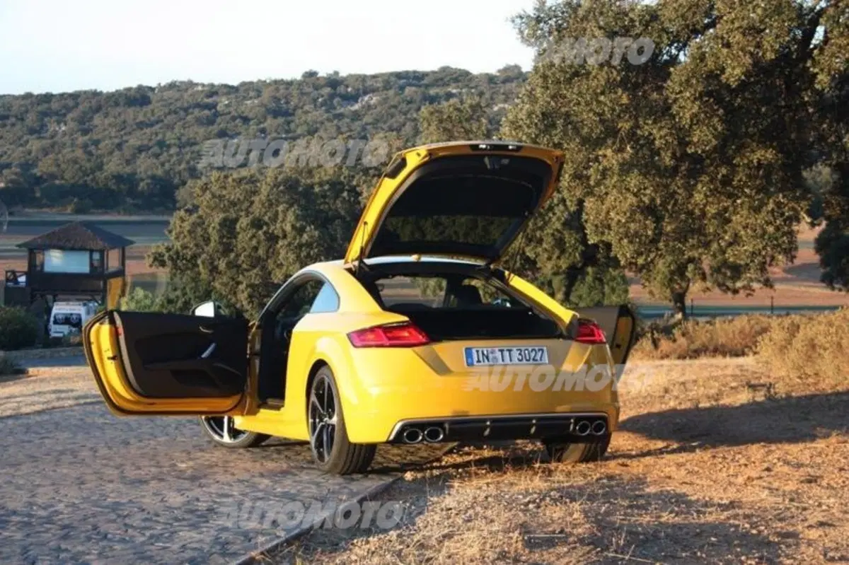 Audi TT Coupé 2.0 TDI quattro S tronic Design (21)