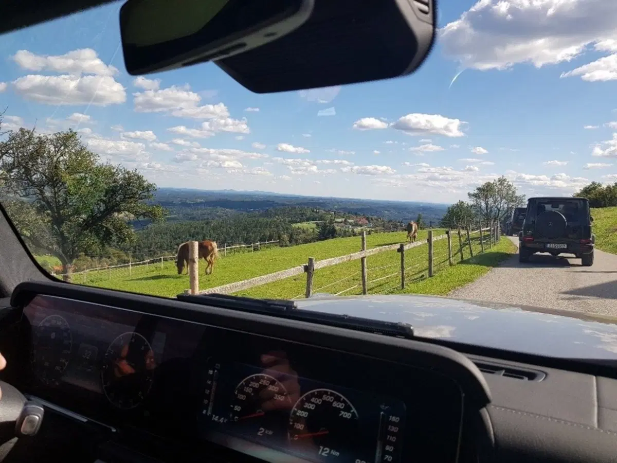 Mercedes-Benz Classe G 400 d Exclusive (16)