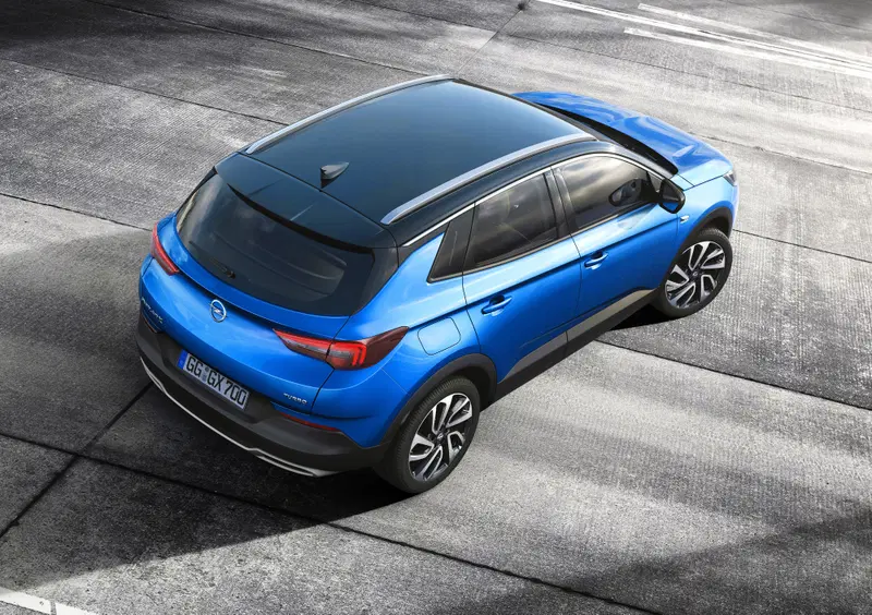 Opel Grandland X (2017-23) (6)