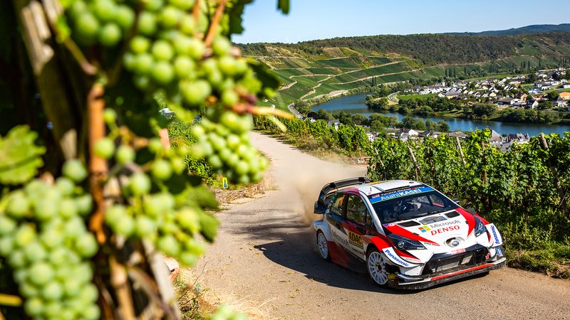 WRC 2019 Germania. Grandi Tanak e Toyota. Ma bravissimi chez Hyundai