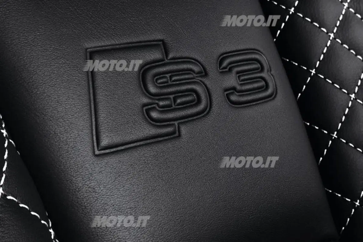 Audi S3 (2013-18) (19)