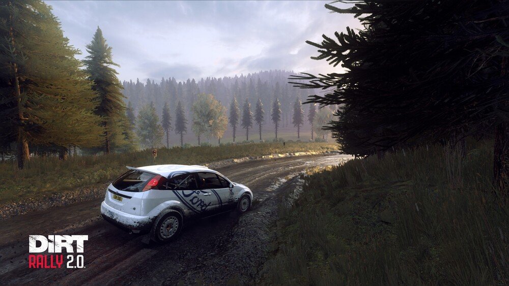DiRT Rally 2.0 offre un buon modello di guida e una grafica quasi fotorealistica. WRC 8 invece punta pi&ugrave; sull&#039;esperienza di guida pura