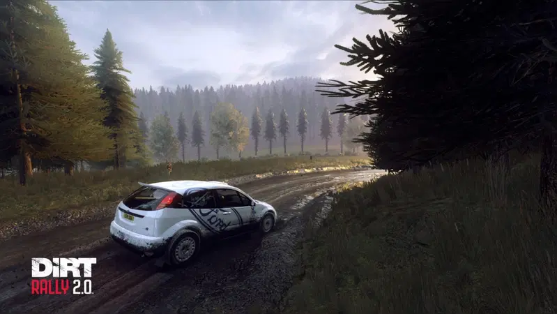 DiRT Rally 2.0 offre un buon modello di guida e una grafica quasi fotorealistica. WRC 8 invece punta pi&ugrave; sull'esperienza di guida pura