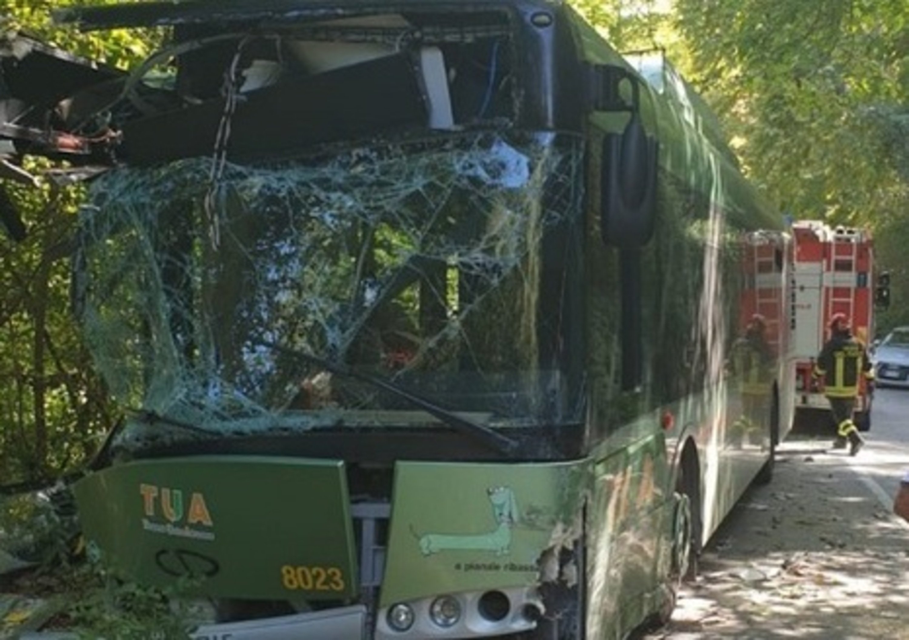 Autobus contro albero nel Pescarese, 30 feriti