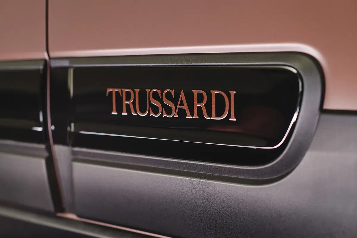 Quando Fiat Panda 2020 “veste” Trussardi resta sempre Panda, per fortuna [video & foto gallery Ava Max] (10)