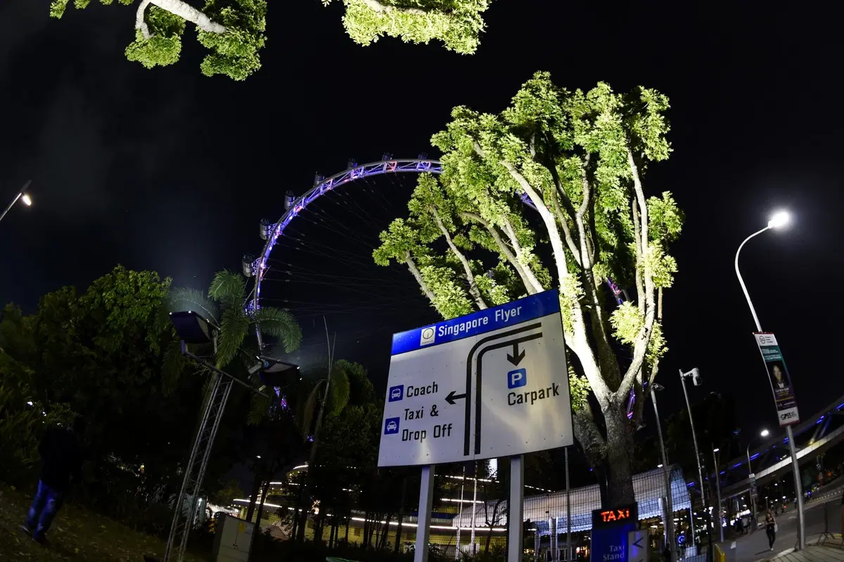 F1, GP Singapore 2019, FP3: Leclerc al top (11)