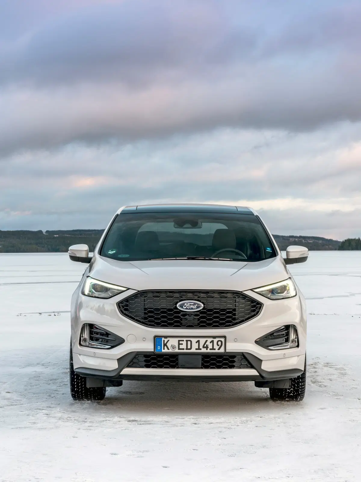 Ford Edge (2016-20) (3)