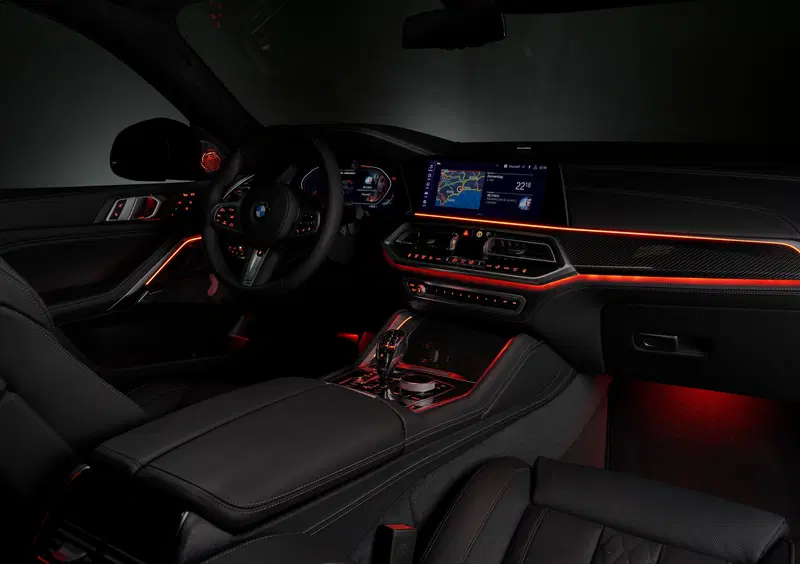 BMW X6 (26)