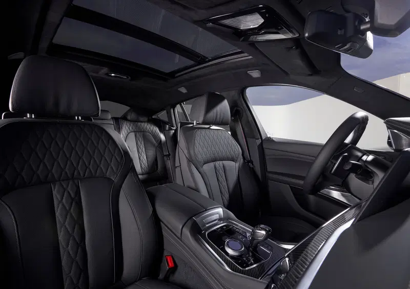 BMW X6 (25)