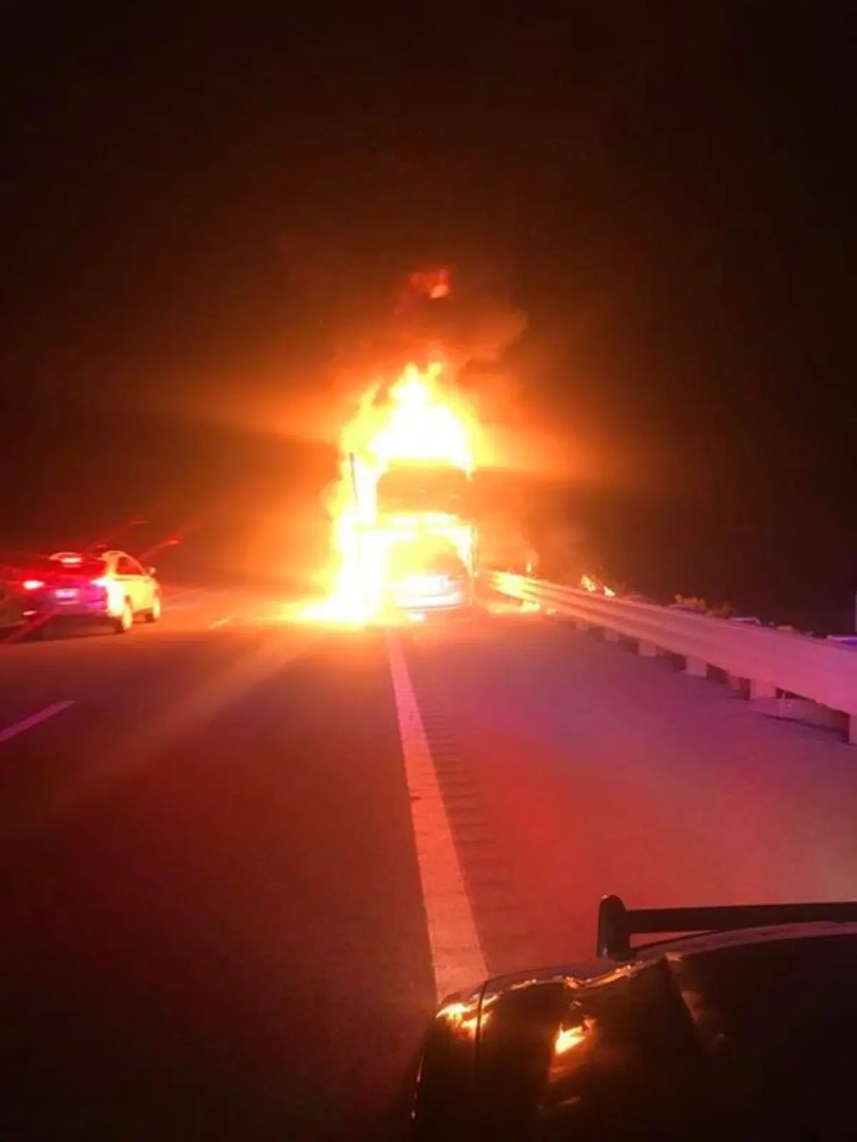 Tesla, A fuoco la bisarca con Model 3 e Model S: incredibile incendio in autostrada [foto gallery] (3)