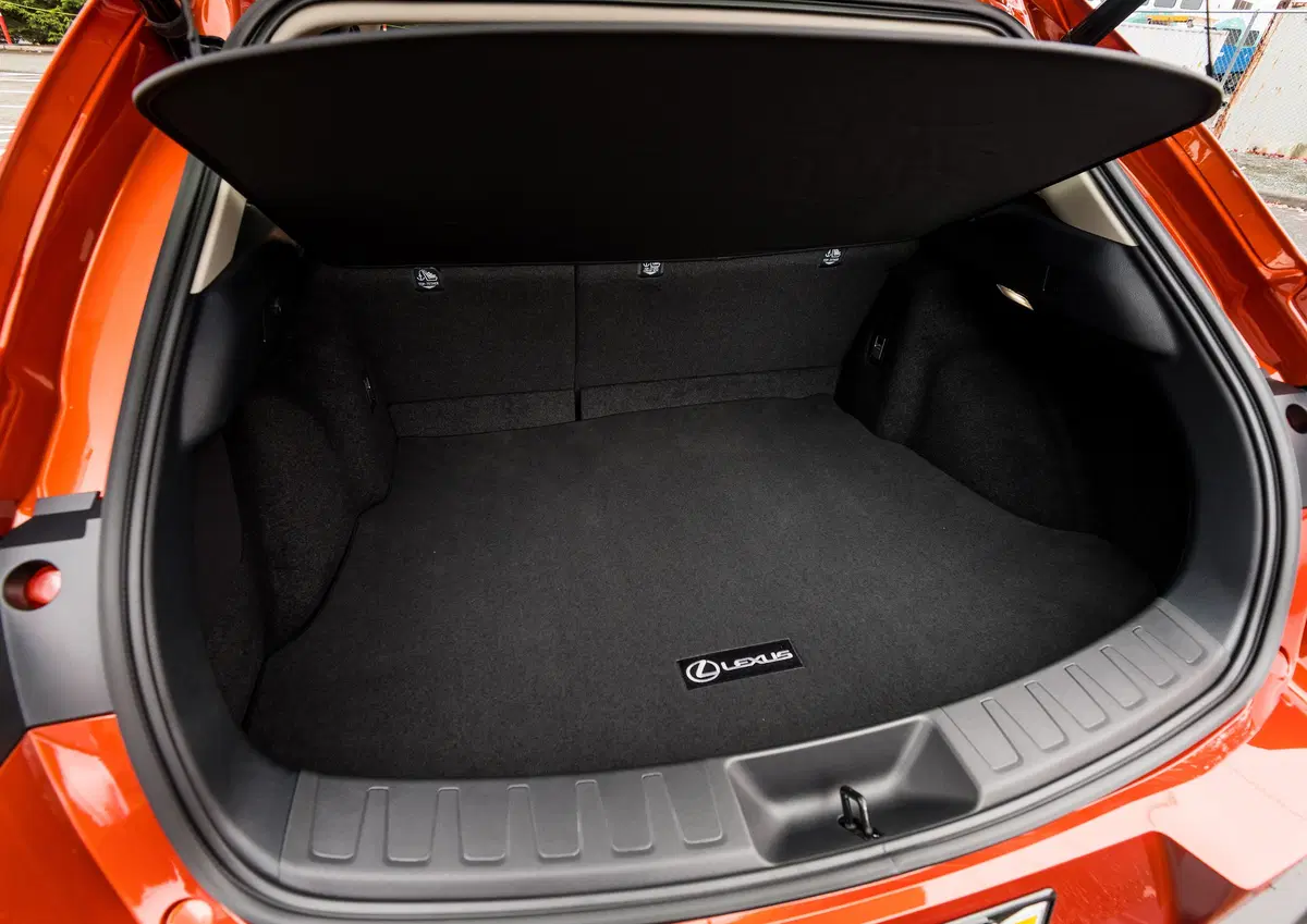 Lexus UX Hybrid 4WD Premium (14)