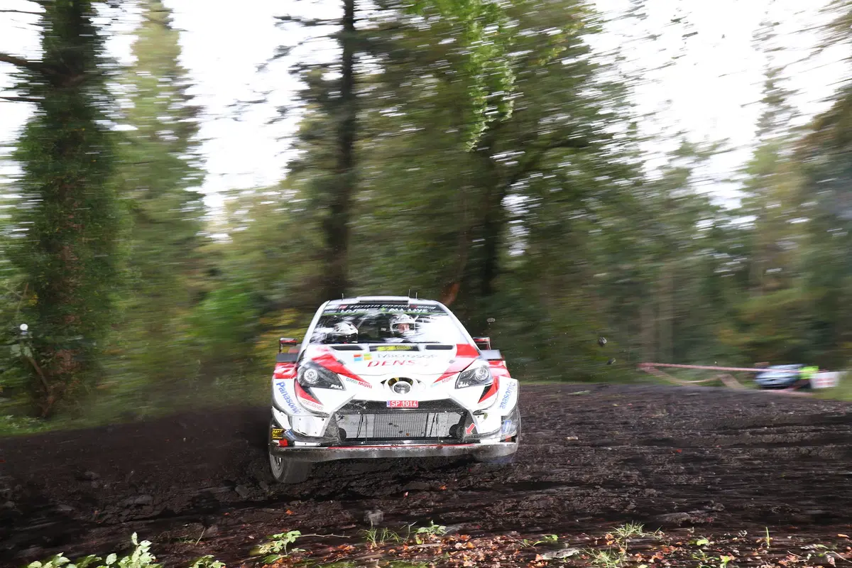 WRC 2019 Galles. -3, Galles, Spagna e Australia per decidere (24)