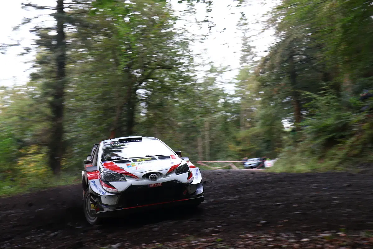 WRC 2019 Galles. -3, Galles, Spagna e Australia per decidere (29)