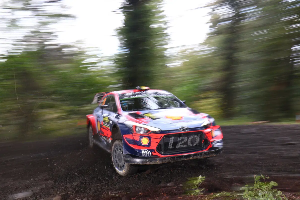 WRC 2019 Galles. -3, Galles, Spagna e Australia per decidere (33)