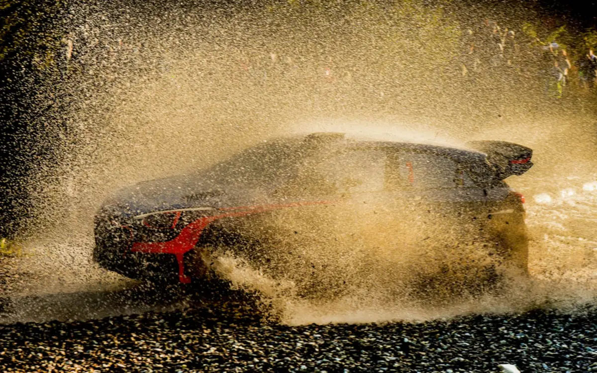 WRC 2016 con Hayden Paddon: Argentina (3)