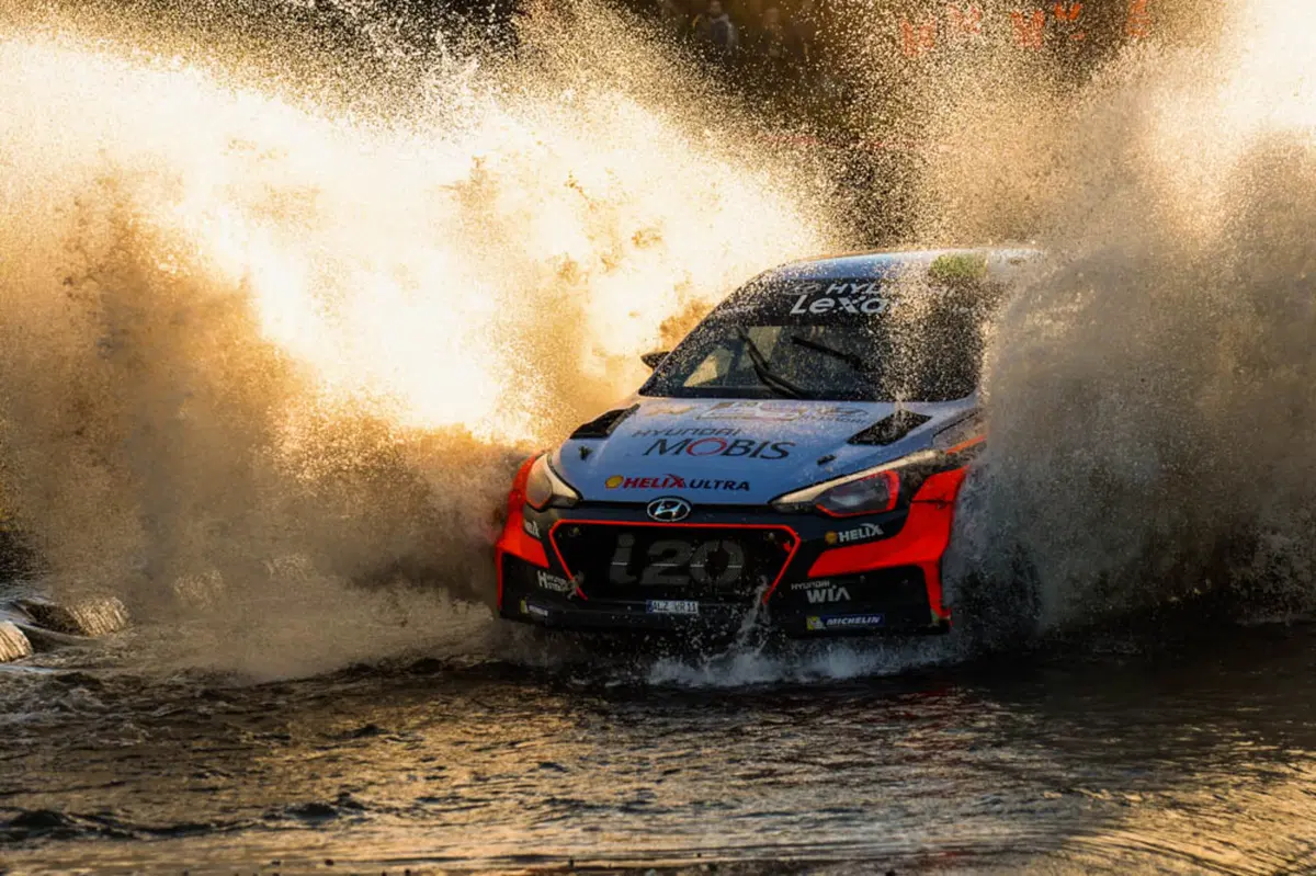 WRC 2016 con Hayden Paddon: Argentina (7)