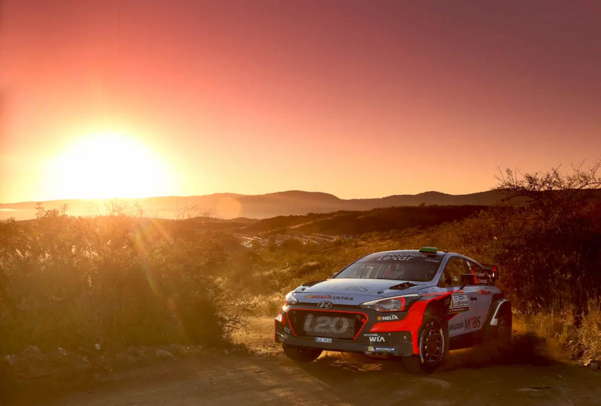 WRC 2016 con Hayden Paddon: Argentina (8)