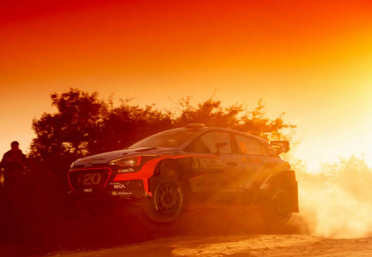 WRC 2016 con Hayden Paddon: Argentina (11)