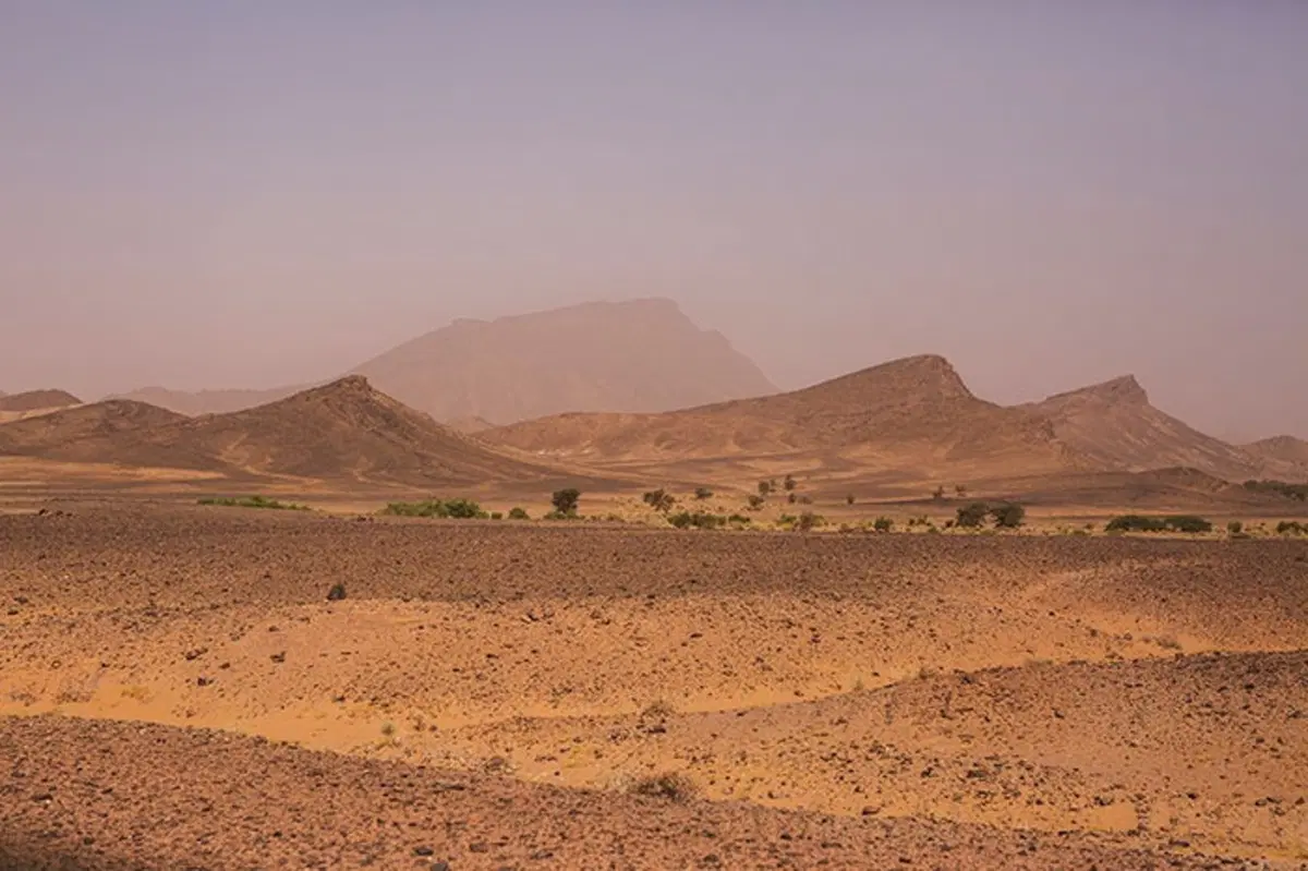 Rally del Marocco. Semplici Cambiamenti per una Rivoluzione. (24)