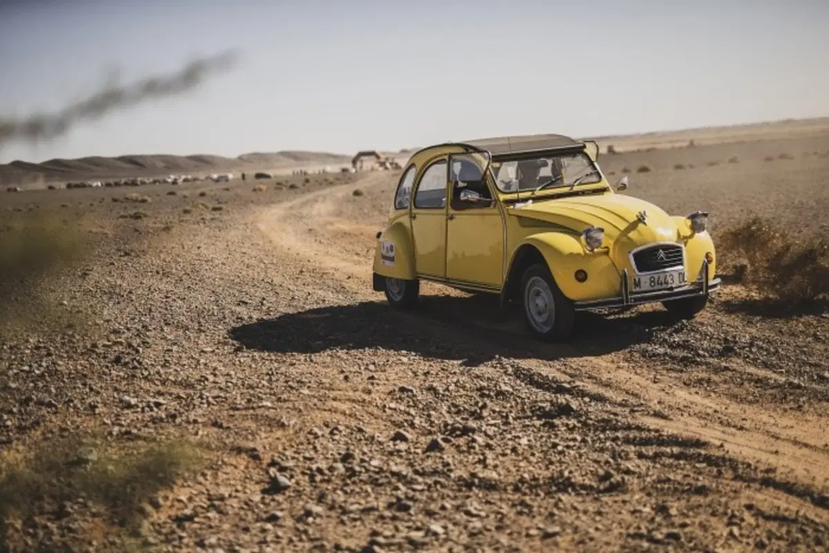 Rally del Marocco. Semplici Cambiamenti per una Rivoluzione. (32)