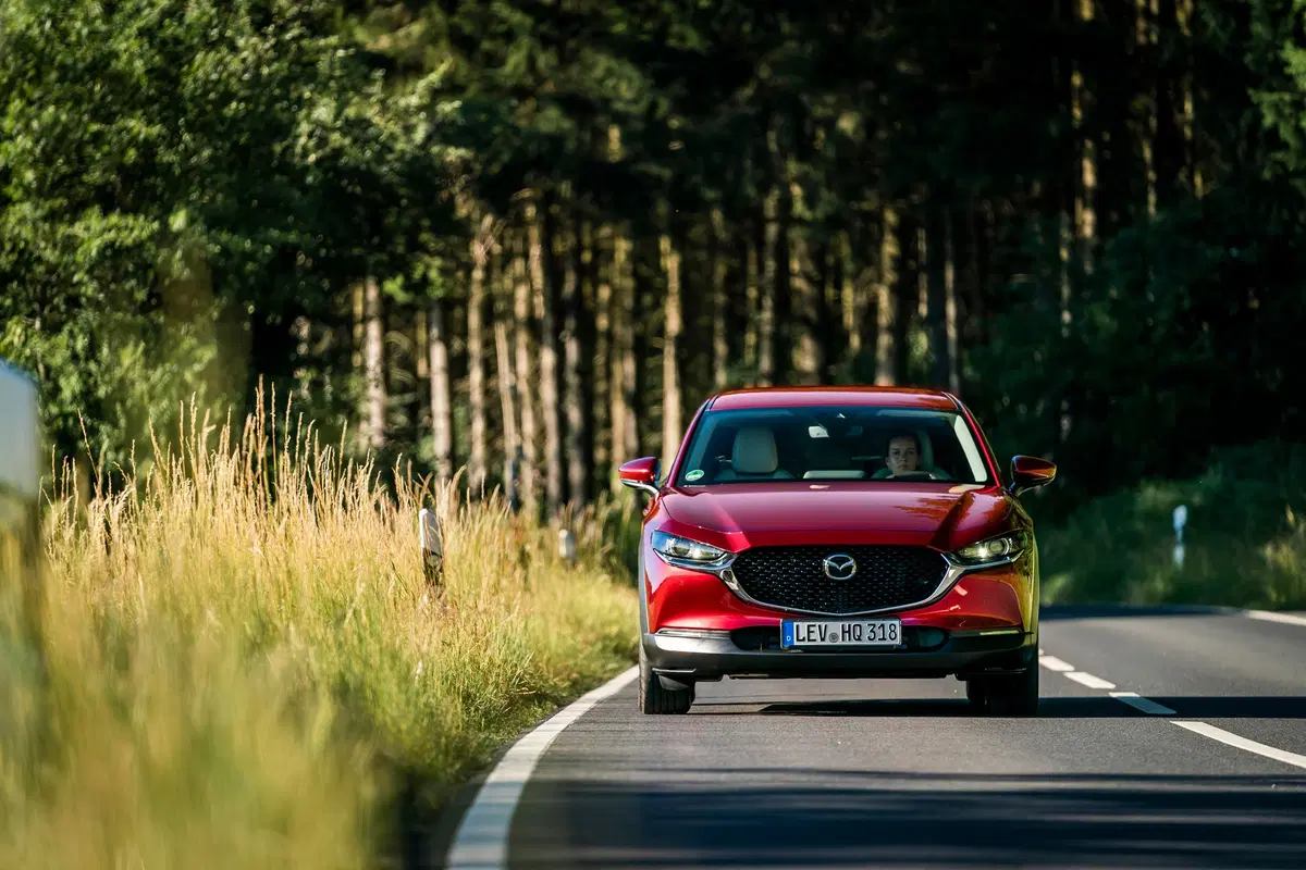 Mazda CX-30 Skyactiv-G 150 CV M Hybrid 2WD Exceed (9)