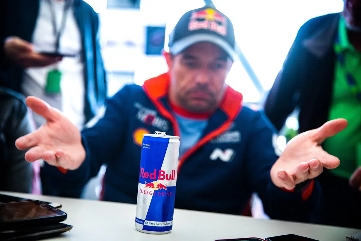WRC 2019. Spagna Catalunya. -1. La strana quiete dopo la tempesta (3)