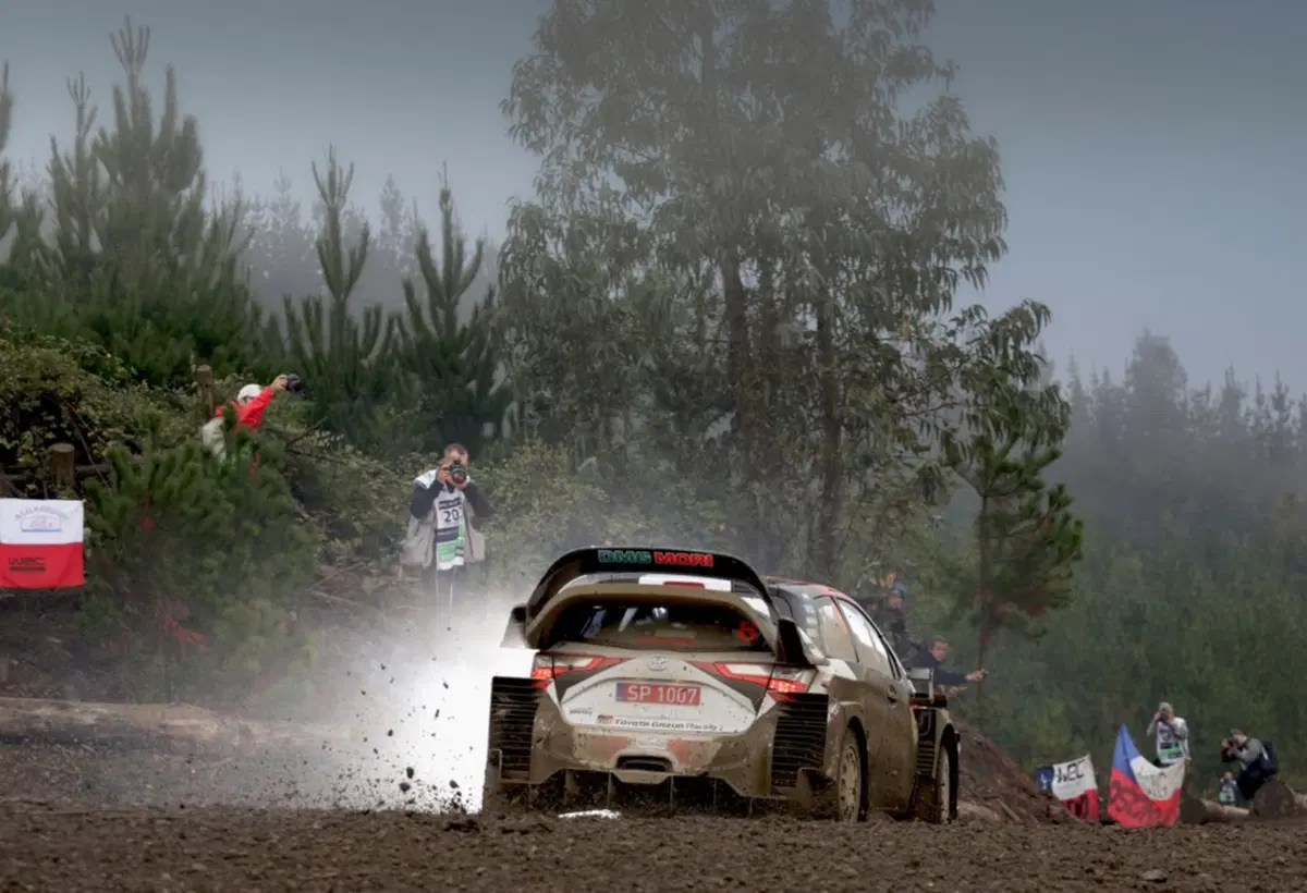 WRC 2019. Spagna Catalunya. Ott 'Otto' Tanak è Campione del Mondo! (17)
