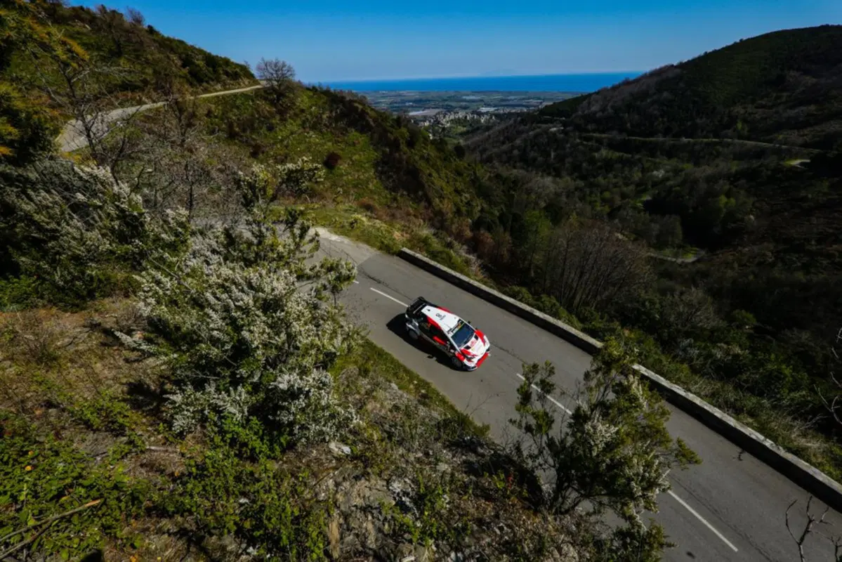 WRC 2019. Spagna Catalunya. Ott 'Otto' Tanak è Campione del Mondo! (22)