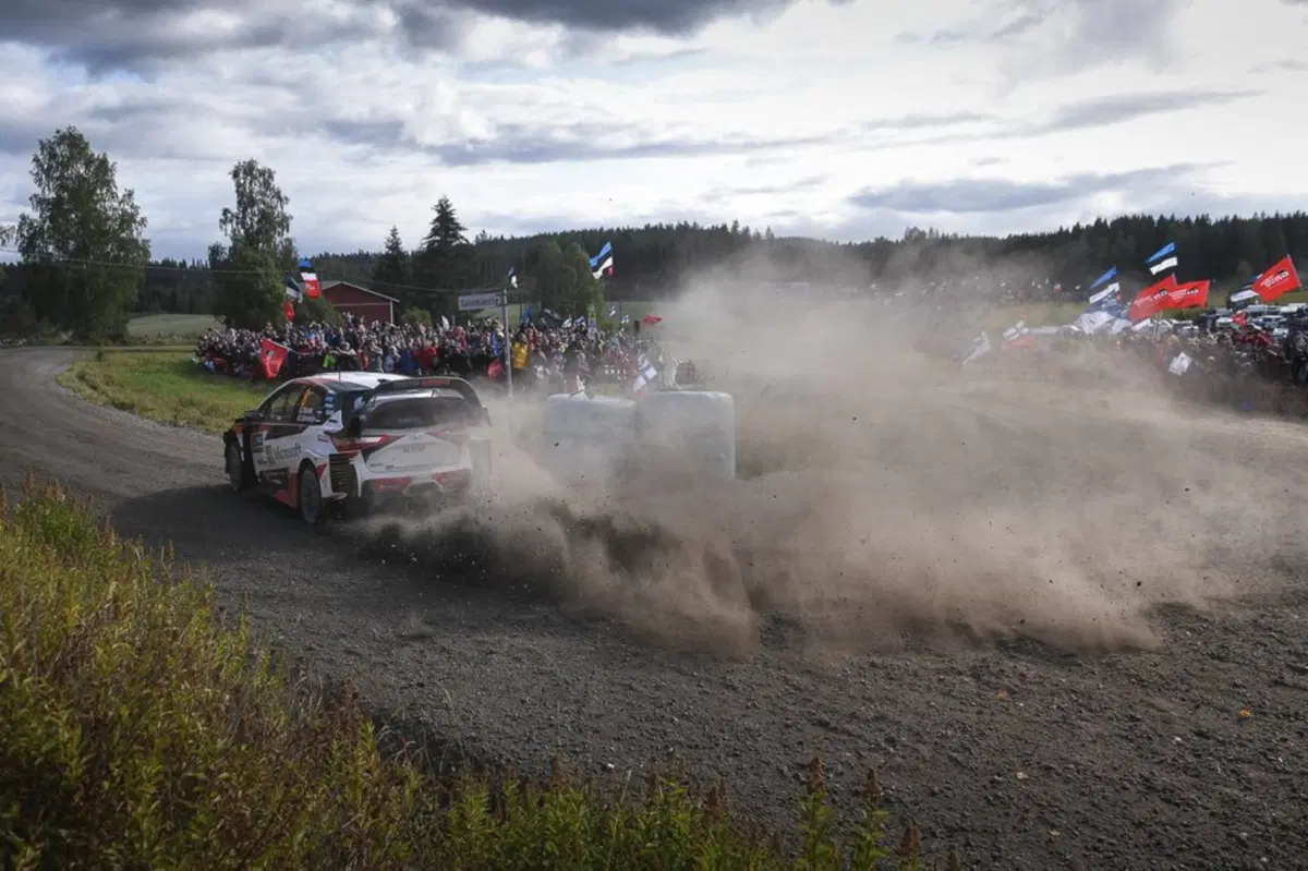 WRC 2019. Spagna Catalunya. Ott 'Otto' Tanak è Campione del Mondo! (24)